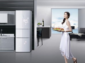销量最大的15款冰箱尺寸 包括双开门冰箱尺寸
