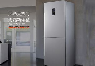变频冰箱哪个品牌好 家用变频冰箱品牌探索记